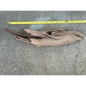 Ohio River Driftwood 15.5"x3"x3"